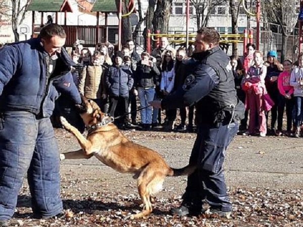 A kutya nagy segítség.